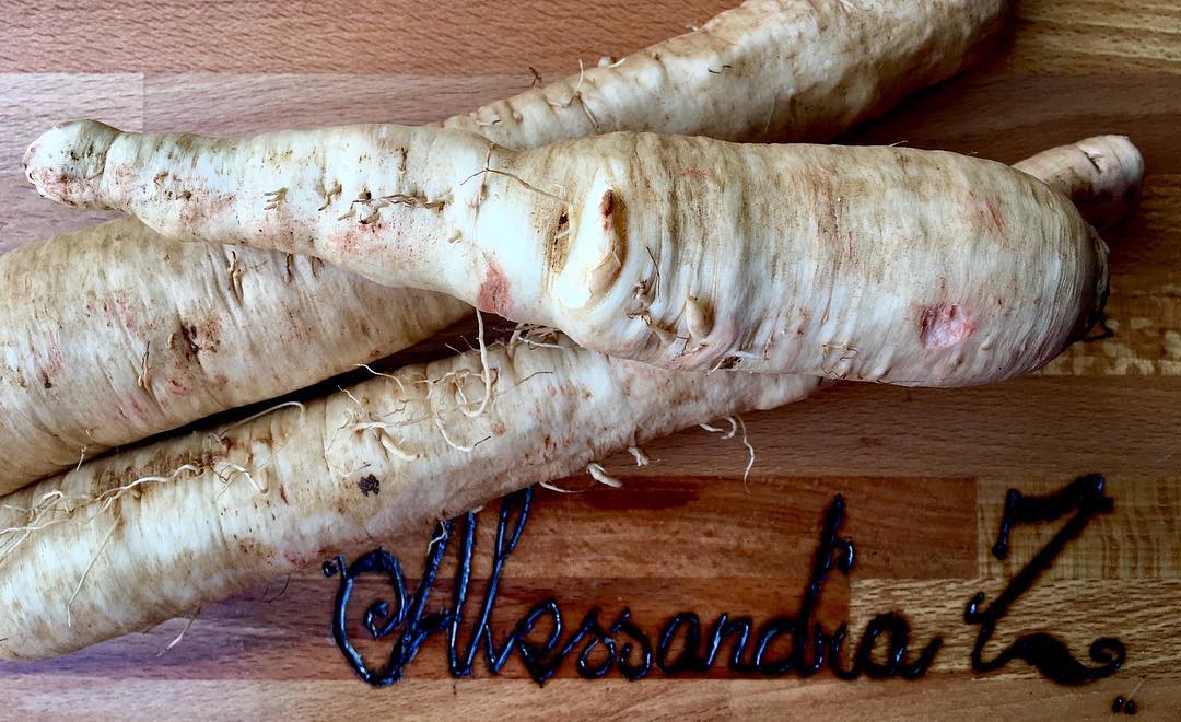 proprietà radici Alessandra Zanini Dietista